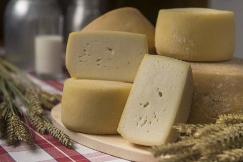 Caciotta